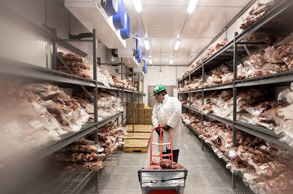 Meat Freezer Room