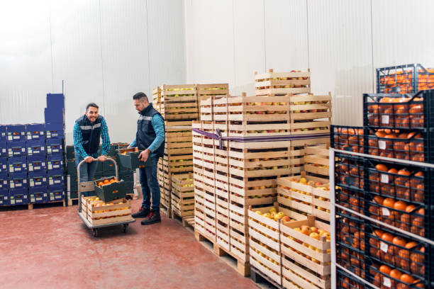 Cold-Storage-Solution