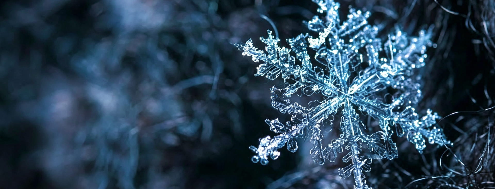 bg_cold_room