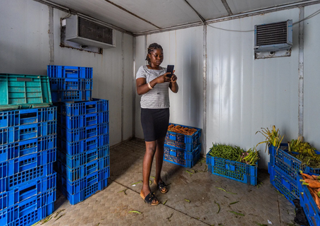Fruit cold storage project in Africa
