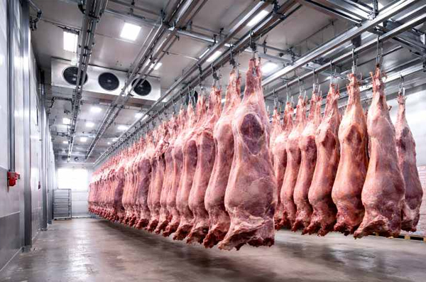 Cold Storage Warehouse