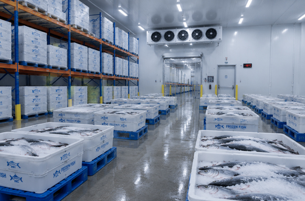 Fish Cold Storage Warehouse