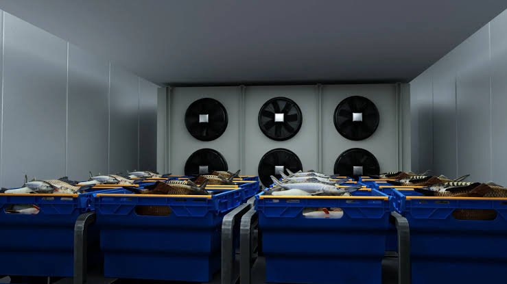 Seafood Cold Room Solution