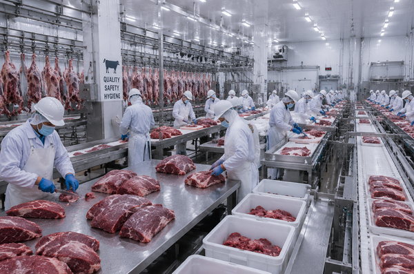Beef Processing Plant