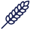 icons8--100 (1)