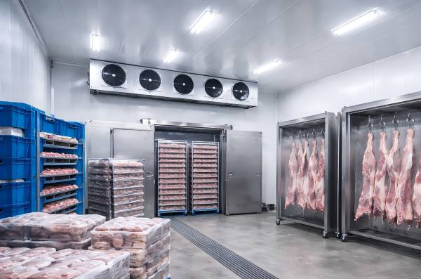 Blast Freezer