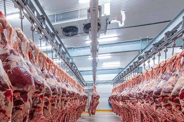 Meat Chiller Room