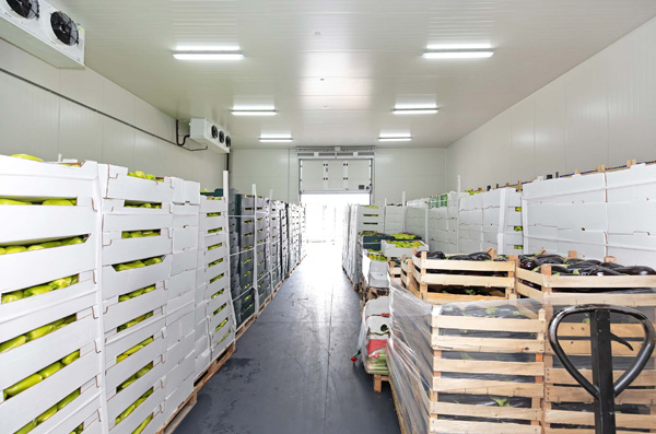 Cold chain logistics
