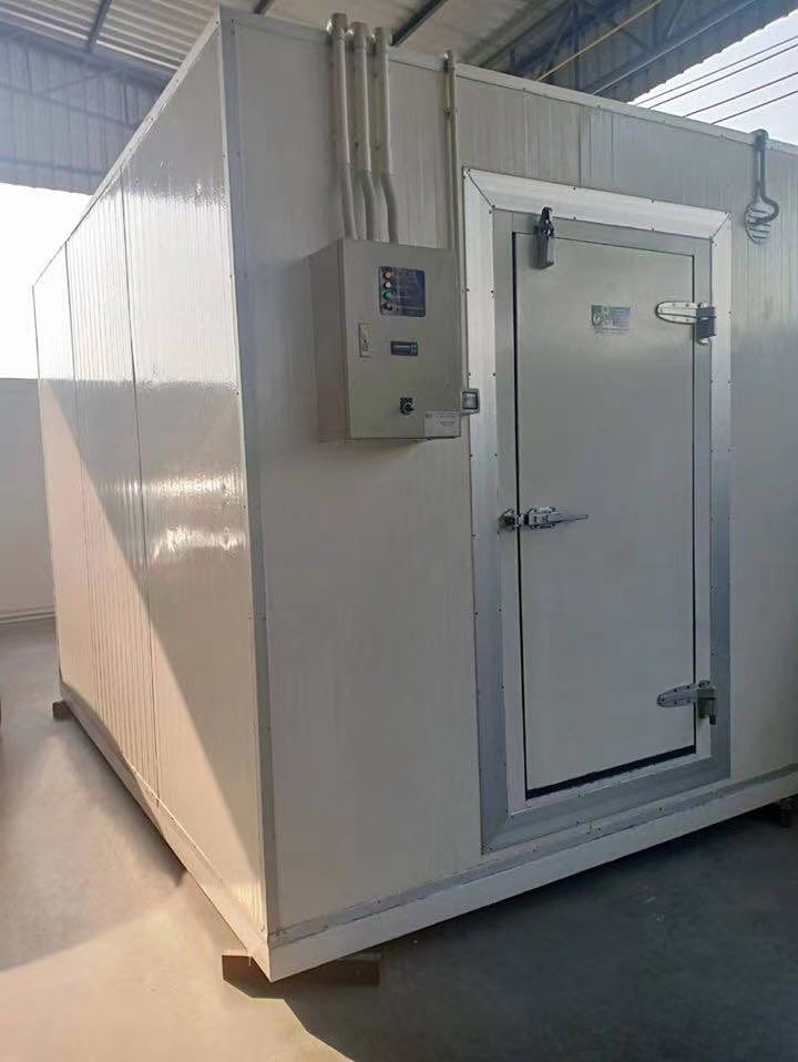 Top 20 Commercial Cold Storage Systems and Industry Disadvantages Guide 2026