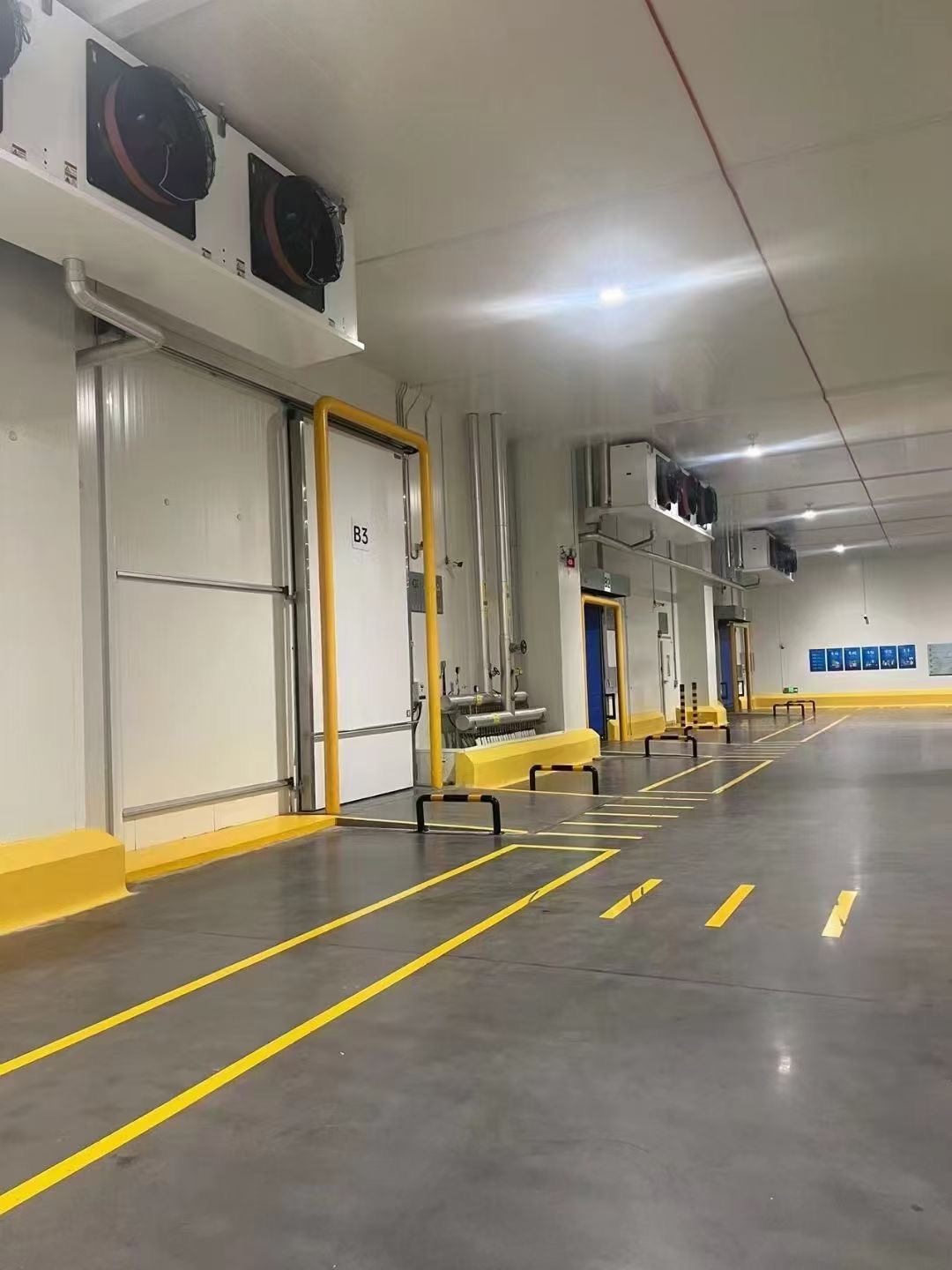 Vietnam Seafood Cold Storage Project | Customized Refrigeration Solution for Seafood Industry