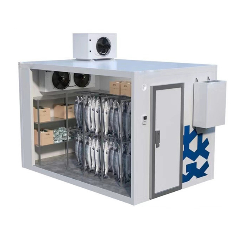 Fish Cold Room Solutions – Fresh Fish Storage & Chiller Systems”