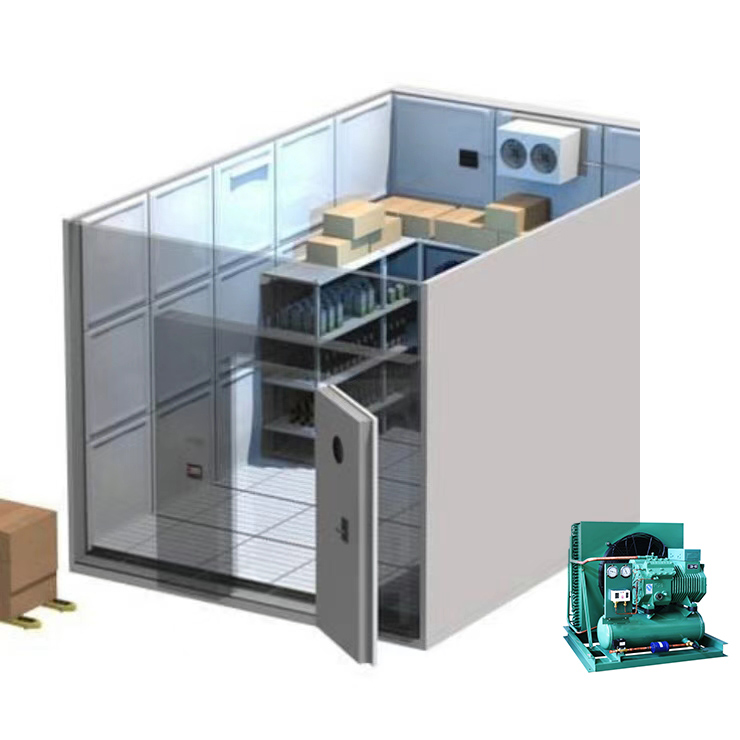 Small Cold Storage | Compact Cold Room Manufacturer & Supplier